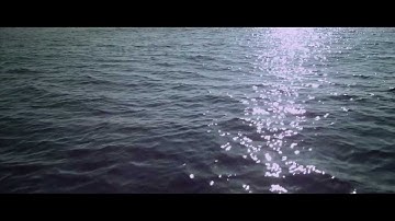 POP ETC - "Speak Up" (OFFICIAL VIDEO) from "The Twilight Saga: Breaking Dawn - Part 2"