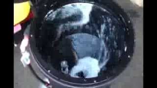 3376 Cleanload CycloRinse Demo
