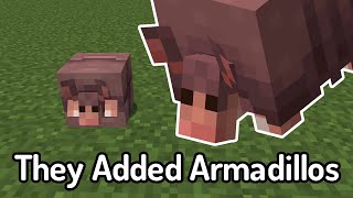 Mojang Added The ARMADILLO In The New Minecraft Snapshot