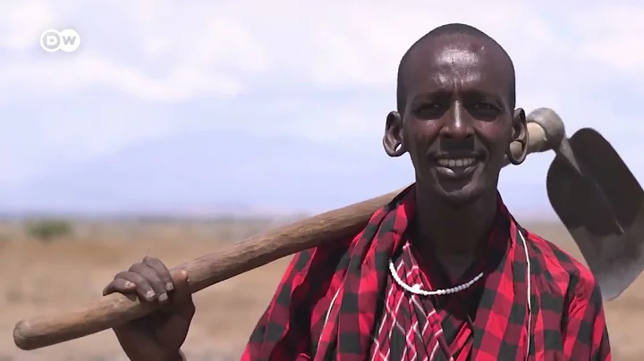 Does (FMNR) Farmer Assisted Natural Regeneration work? Restoring dry land in Tanzania