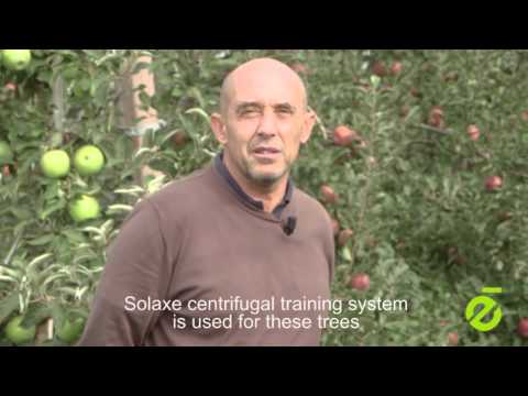 Michele Mariani presents Solaxe training system