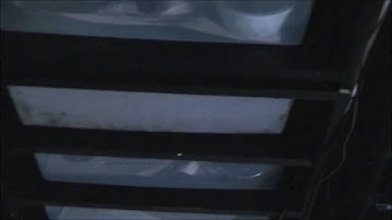 Ball Python breeding update.