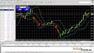 Que es el spread y las comisiones basico