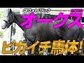 【オークス】某大手牧場の元スタッフが見抜いた！レース適性バッチリの好馬体 G1フォトパドック 2019【競馬予想】