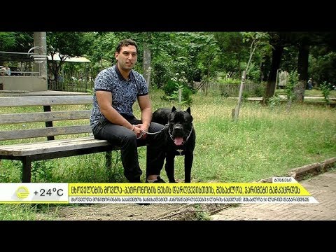 ცხოველის მოვლა-პატრონობის წესის დარღვევისთვის შესაძლოა ჯარიმები გამკაცრდეს