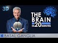 3D - The Brain in 20 minutes - 04 │ Basal Ganglia │ Dr. Dr. Damir del Monte │ Encephalon Hirnwelten