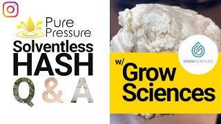 Solventless Hash Q&A: Matt Blum, COO & Co-Founder of Grow Sciences