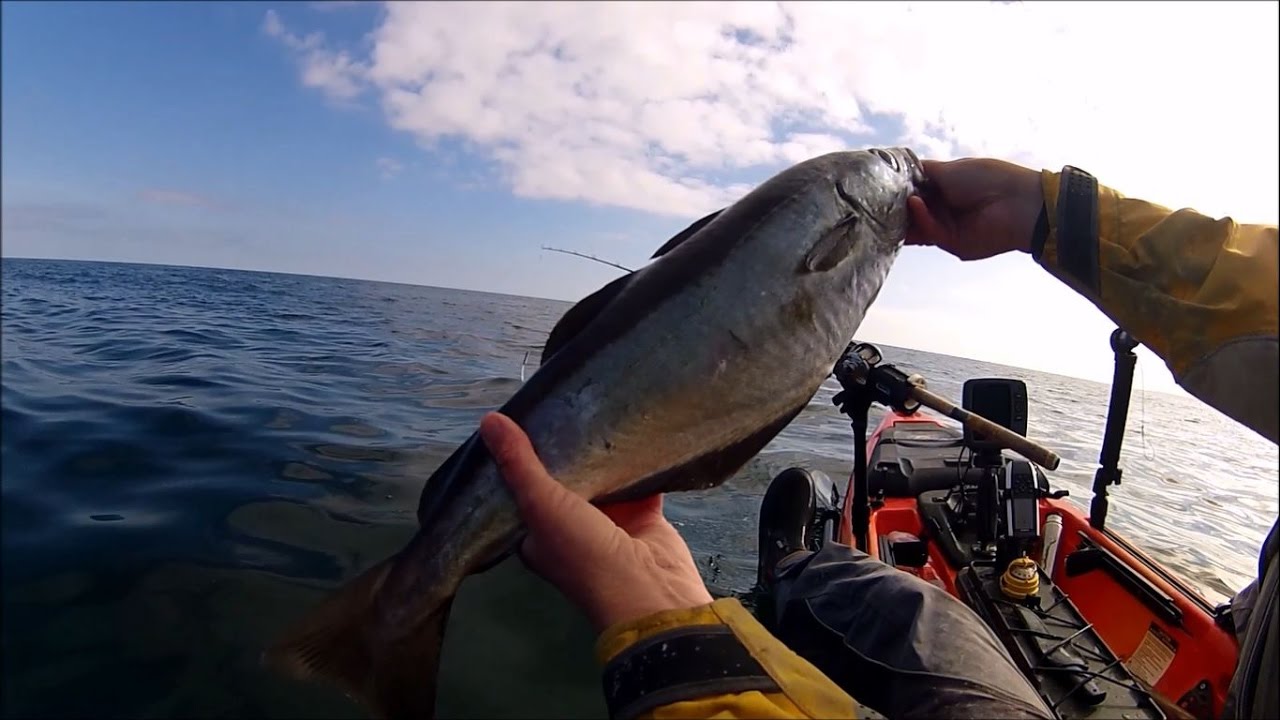 Kayak Fishing Lure Fishing a Big Reef for Pollock Finding the Fish