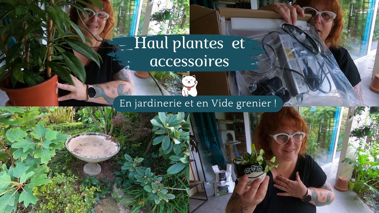 HAUL PLANTE & ACCESSOIRES🌿 Des trouvailles en jardinerie et en