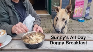 Sunny Greyhound Goes Out For An All Day Doggy Breakfast