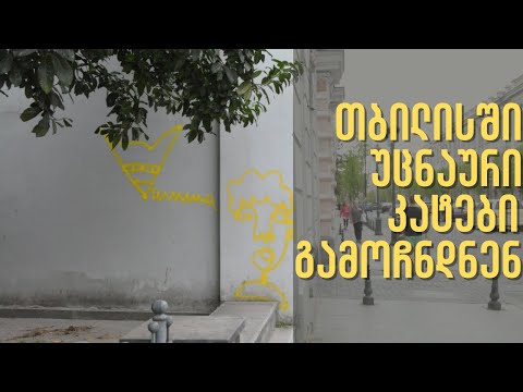 თბილისში, შენობებზე უცნაური კატები გამოჩნდნენ