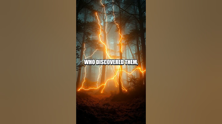 The Surprising Tale of the Lichtenberg Figures
