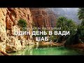 Один день в Вади Шаб / One day in Wadi Shab