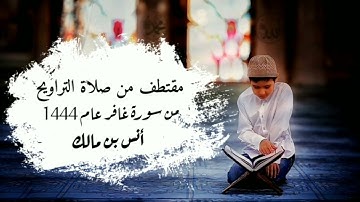 مقتطف من صلاة التراويح || من سورة غافر || عام 1444 || أنس بن مالك
