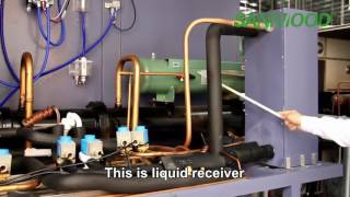 Walk-In High Low Temperature Chamber