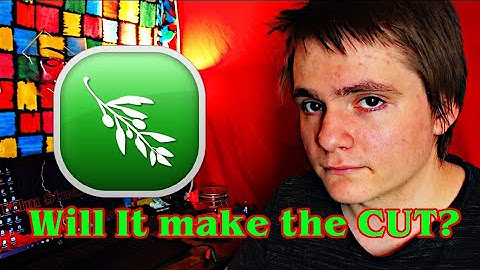 Will OLIVE VIDEO EDITOR Make the CUT? | Film Studio