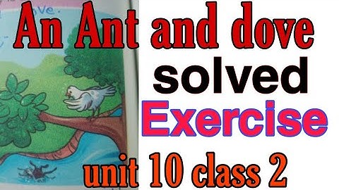 SNC ENGLISH CLASS 2| Unit 10 | Solved Exercise | page 102 |103| 104|New syllabus