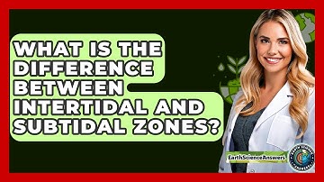 What Is The Difference Between Intertidal And Subtidal Zones? - Earth Science Answers