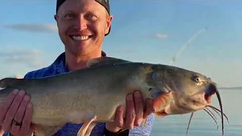 Huge Catfish Caught in Vineyard UT