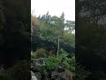 wow view 😍😍 Darjeeling #watching #subcribe #youtuber #monitization #youtubeshorts #nature