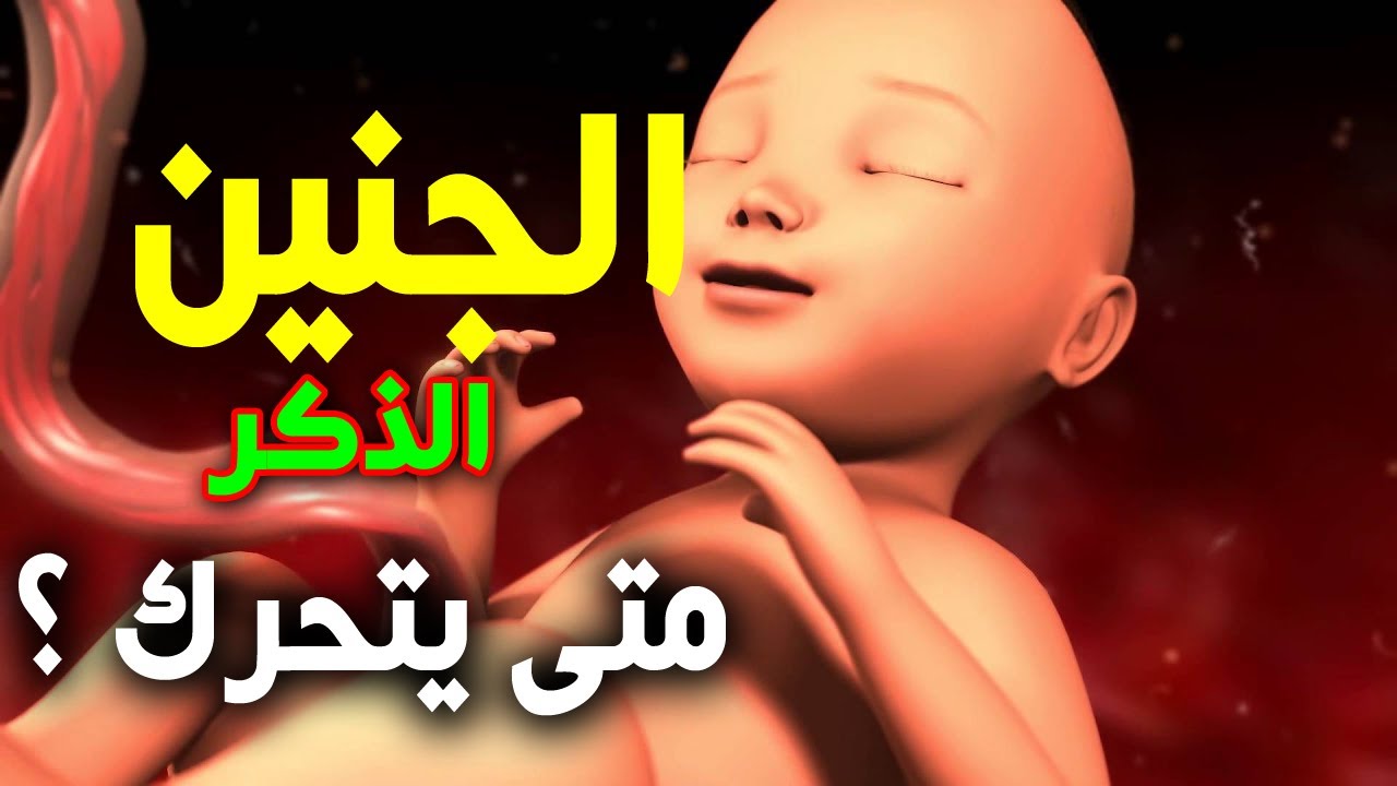 На какой неделе беременности начинается шевеление плода мужского пола?