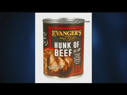 Video: URGENT: Evanger's Pet Food Recall - Må Læs!