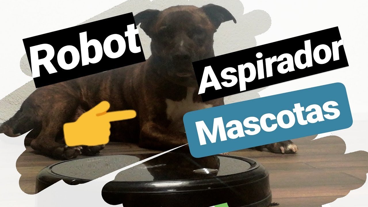 La mejor roomba y robots aspiradores para pelos de mascotas y limpieza del  hogar, Escaparate: Las mejores 'roombas' especiales para mascotas a la  venta en , Estilo de vida