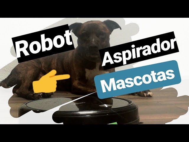 Los 3 Mejores Robot Aspirador para Mascotas 2022 ✓ ( En ) 