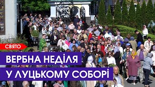 🌿 Як лучани освячували вербу: репортаж з луцького Свято-Троїцького собору