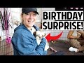 Huge birt.ay puppy party surprise  ashley nichole vlogs