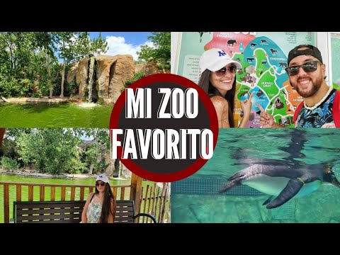 Video: Visite el zoológico ABQ BioPark de Albuquerque