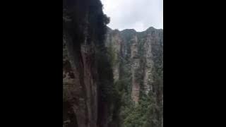 13661553 1033878216694489 700302281 s