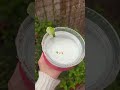If you’re planning to be sipping margaritas all summer long, this is the Tumblr you need! Also makes