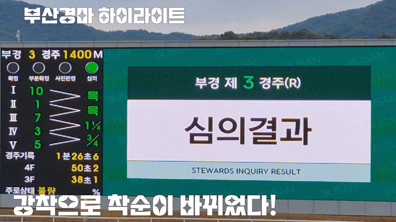 심판에서 알려드립니다 (희비가 엇갈리는 순간)부산경마 하이라이트 