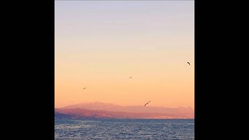 الشيخ أحمد كاسب - سورة الجمعة