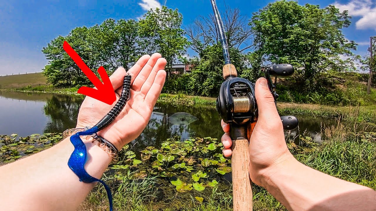 Fishing for BIG BASS With GIANT WORMS in Small Ponds! (Pond Hopping)