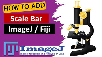 How to add Scale Bar in ImageJ | ImageJ Tutorial | Image processing |  Image J software online
