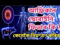 African Swine Fever । Wild Boar Fever । আফ্ৰিকান ছোৱাইন ফিভাৰ