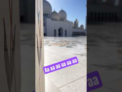 #subscribe #reels #travel #viral #shortsvideo #youtubeshorts #dubai #trending #abudhabi #grandmosque