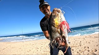 Shark Attack Beach Fishing Western Australia WA