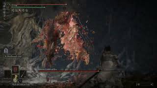Malenia No Heal (2 Hit Taken) Melee No Parry No Summon screenshot 3
