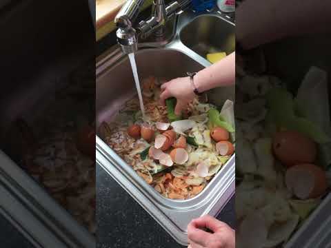 Garbage disposal Insinkerator 66