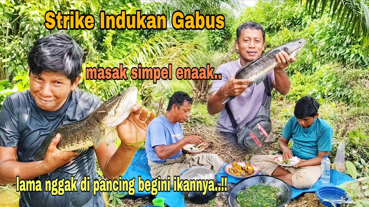 LAMA NGGAK DI PANCING BEGINI IKANNYA..!!  TARIKANNYA BIKIN JORAN PATAH