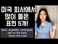 미국에서 회사 다닐 때 많이 들은 표현 5개! (비즈니스 영어 - input * expedite * swamped * down the road 등)