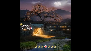 قال ربي إني ظلمتُ نفسي فاغفر لي🌸حالات واتس اب دينية - ستوريات قرآن كريم🌸- مقاطع انستغرام دينية قصيرة