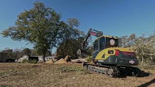 2 excavators and one oak tree going down