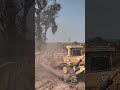 Giant tree vs. excavator 4k HD #máy #bulldozer