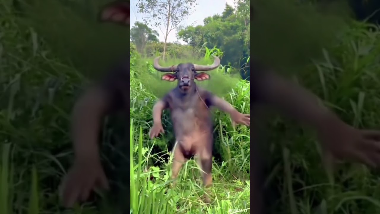 just wait and see 😂 