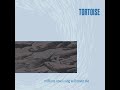 Tortoise - Millions Now Living Will Never Die (1996) [Full Album]
