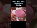 元ボス猫ふくちゃん初めてのお風呂 #保護猫 #元野良猫 #野良猫から家猫